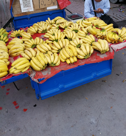 余姚哪里有卖香蕉的(余姚哪里有卖香蕉的市场)