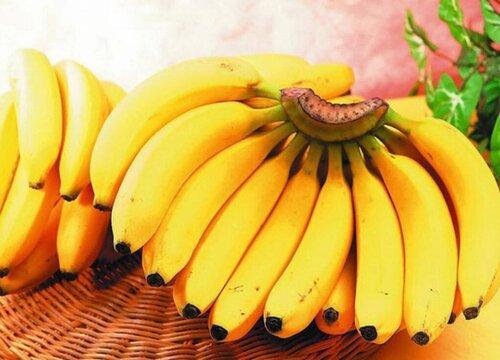 什么香蕉味道最好(什么香蕉味道最好闻)
